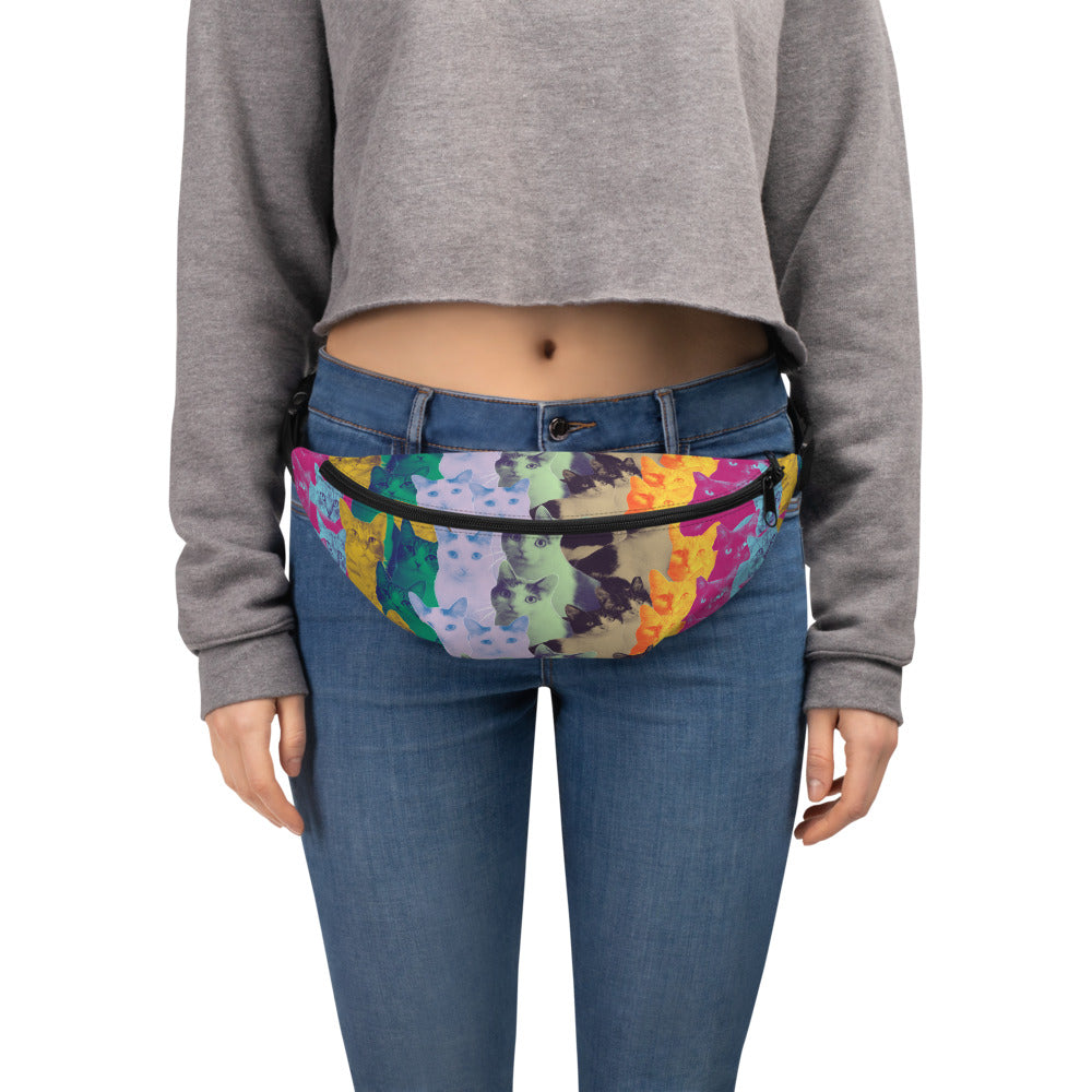 featured 😻 GOOD CAT -  Rainbow Rescue Fanny Pack